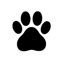 Pet Club 360